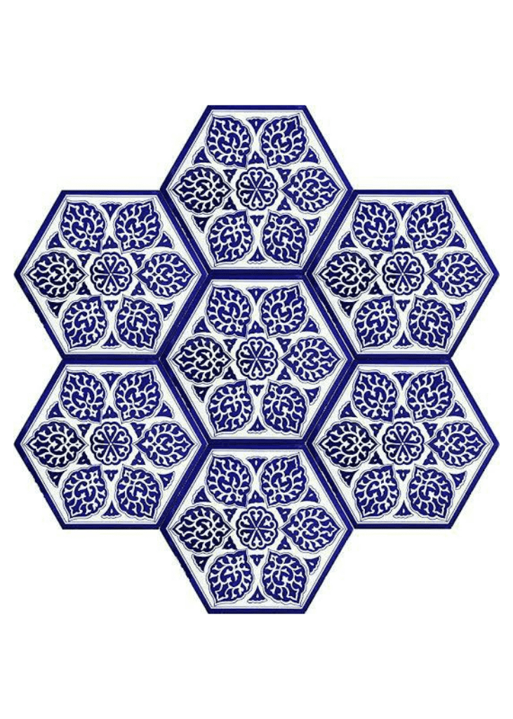 Hexagonal Ceramic Tile-20