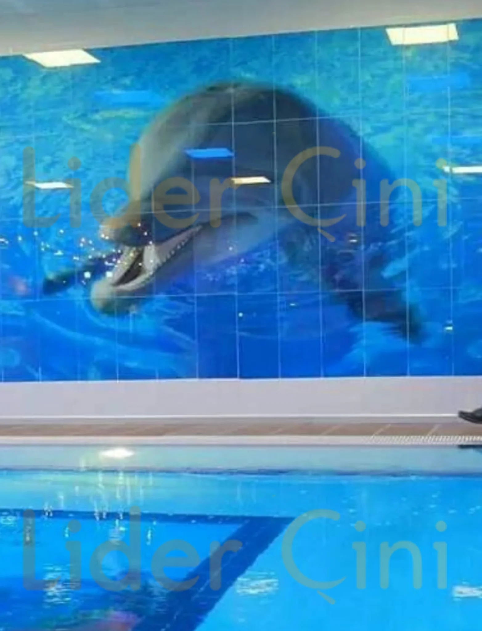 Digital Print Ceramic-33