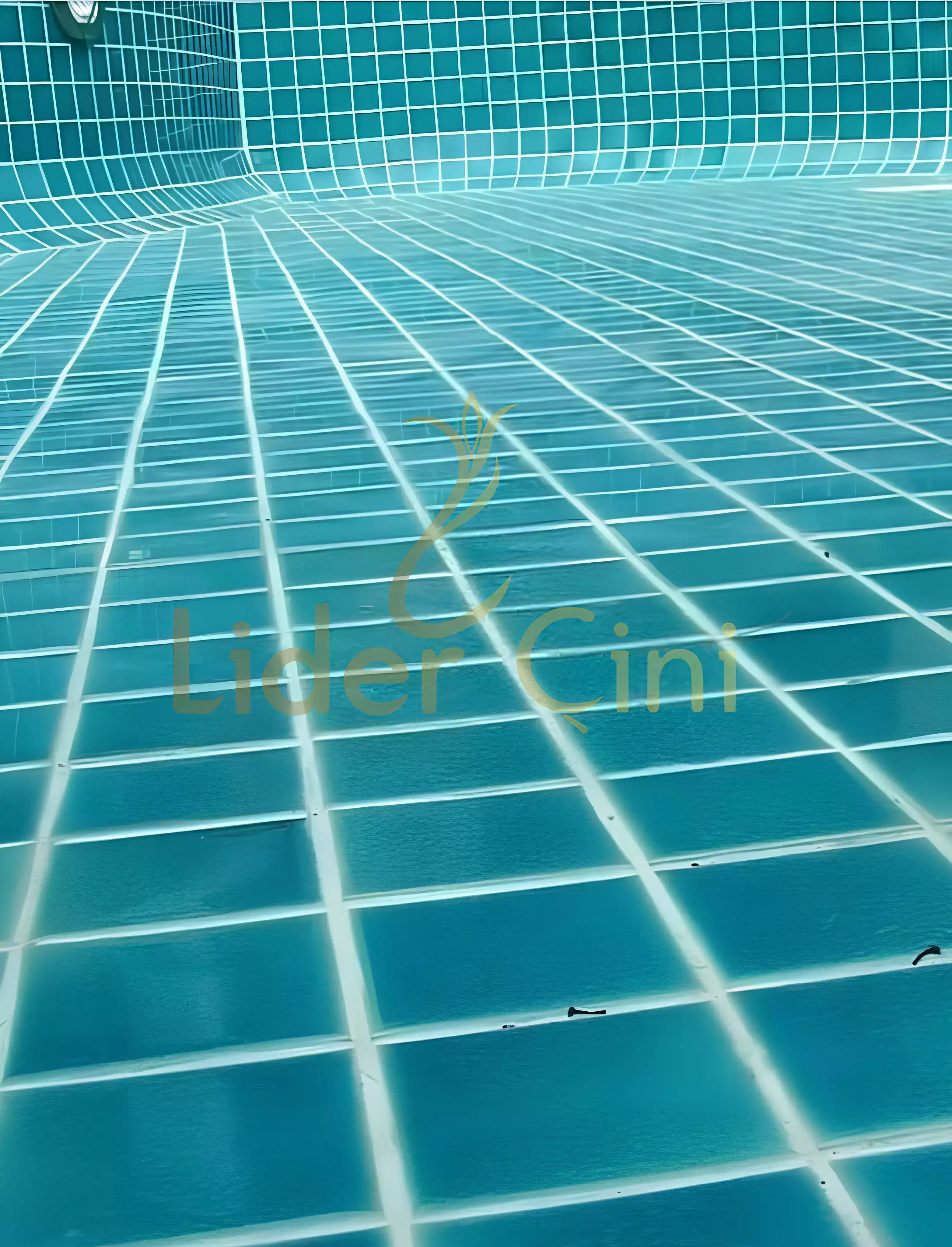 Pool Ceramic Tiles-22