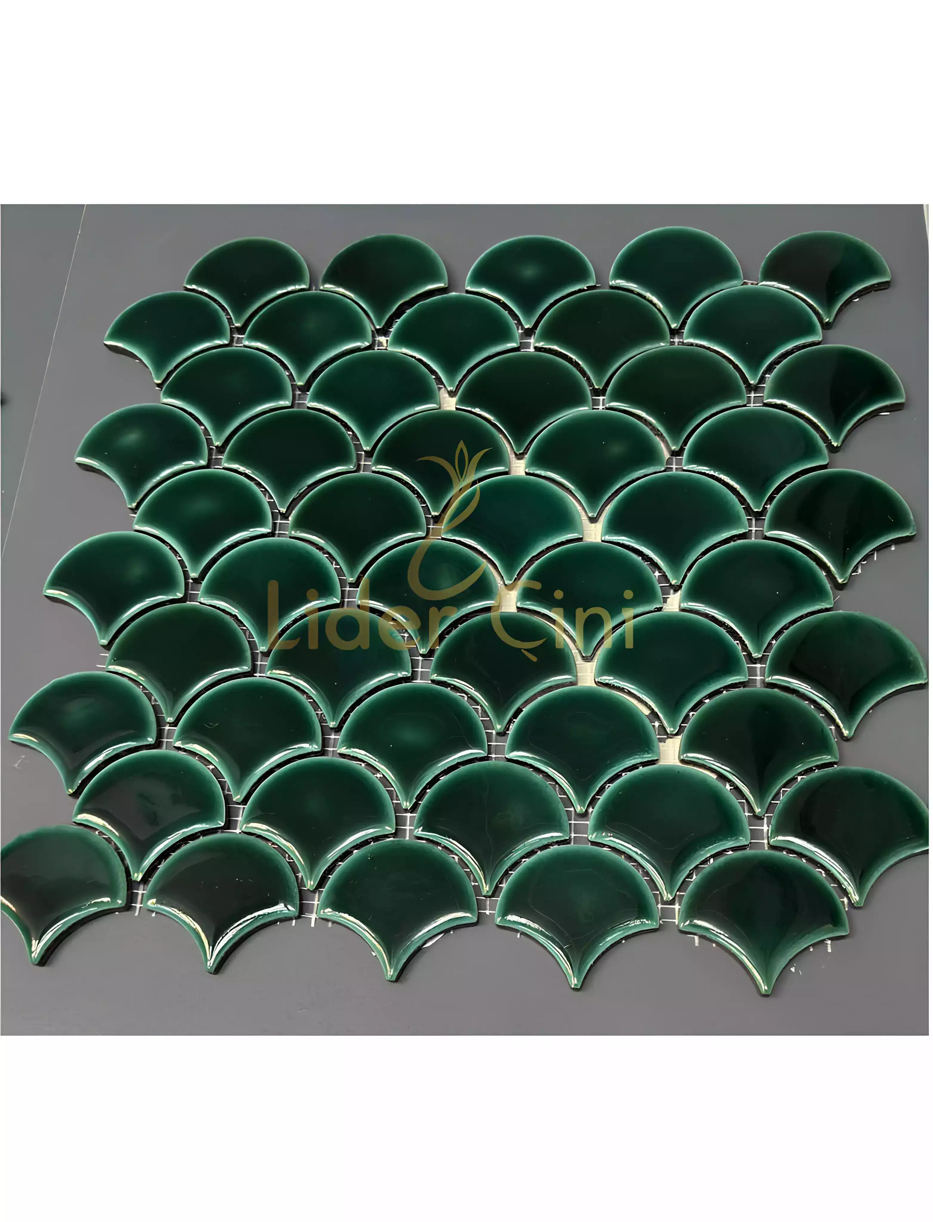 Pool Ceramic Tiles-49