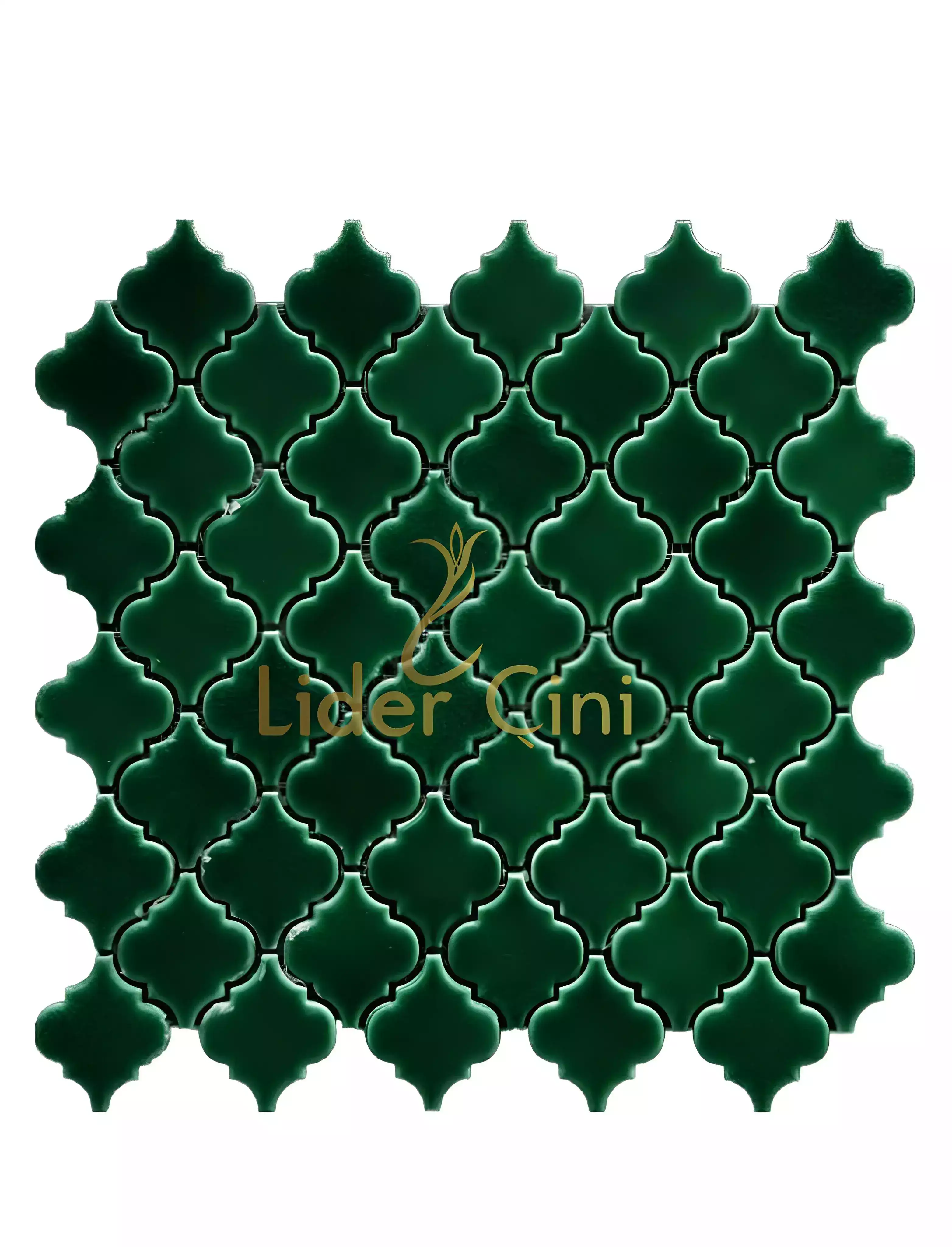 Pool Ceramic Tiles-51