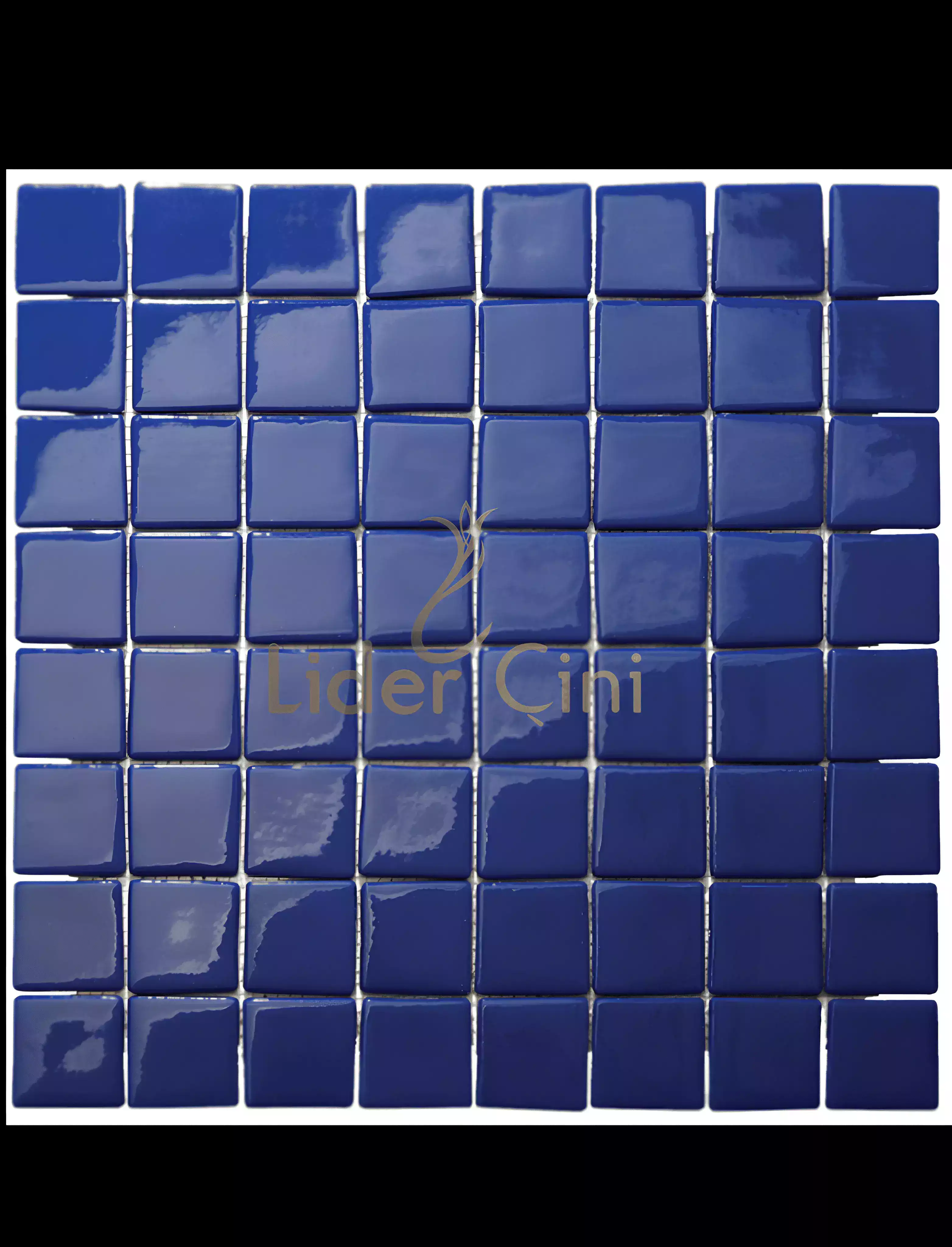 Pool Ceramic Tiles-60