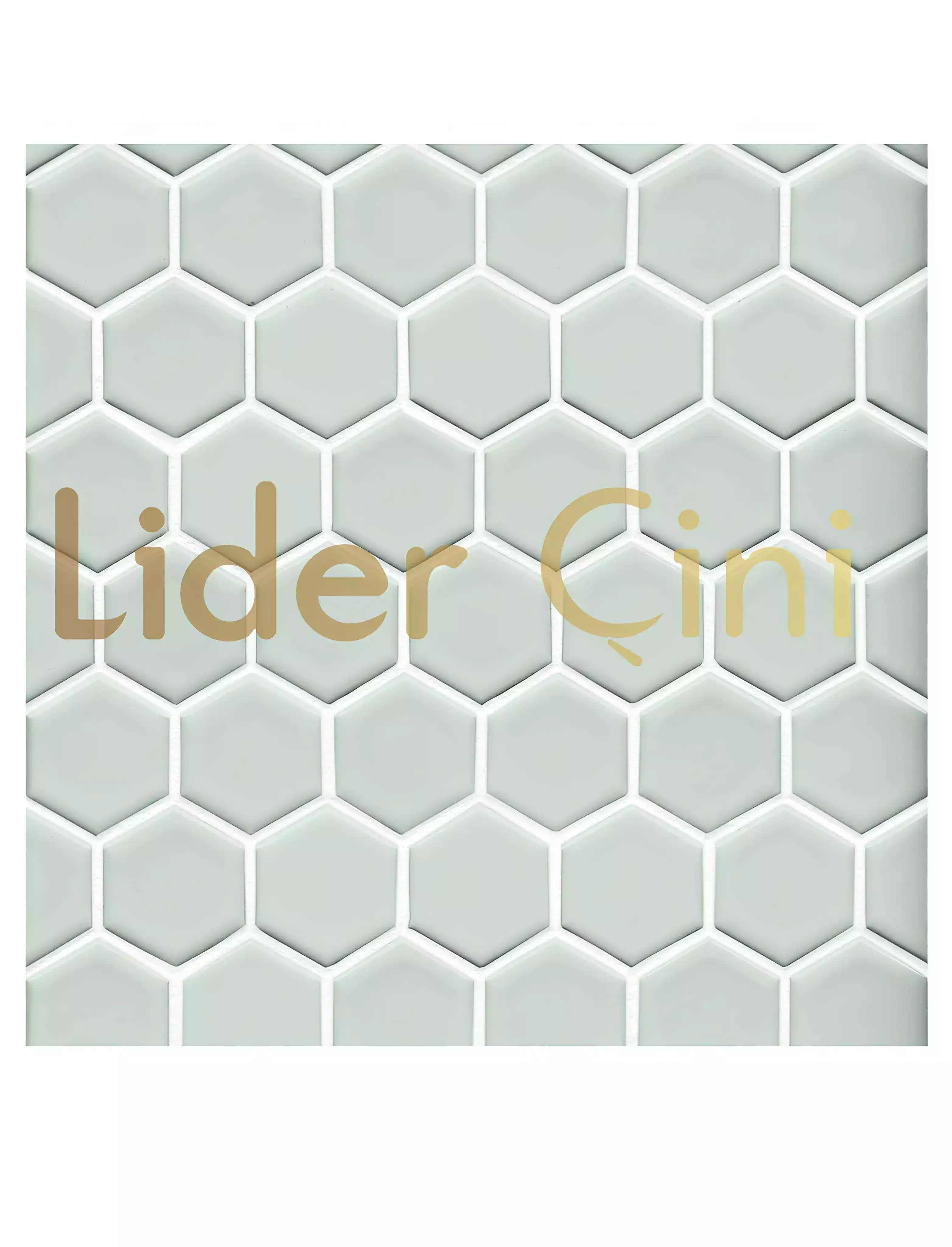 Pool Ceramic Tiles-61